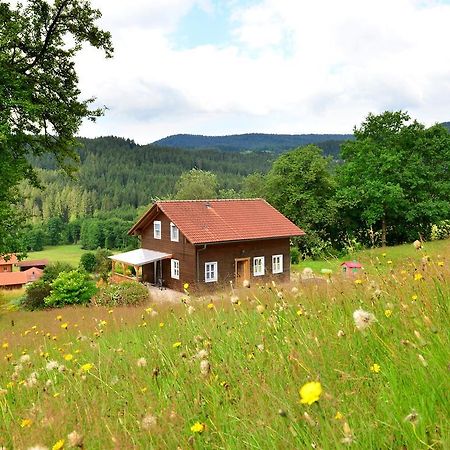 Comfort Apartment With Balcony In The Beautiful Bavarian Forest Drachselsried Exteriér fotografie