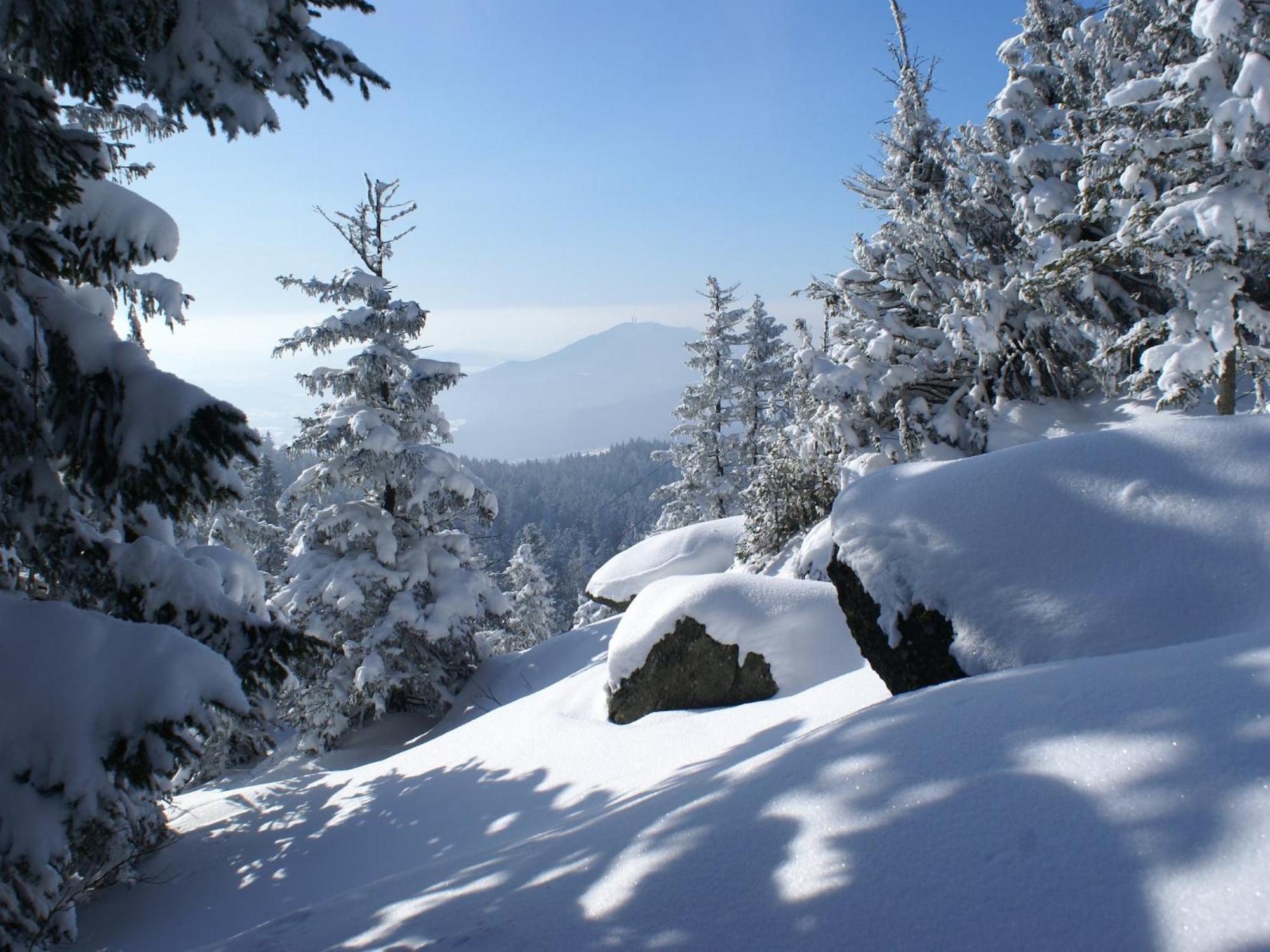 Comfort Apartment With Balcony In The Beautiful Bavarian Forest Drachselsried Exteriér fotografie