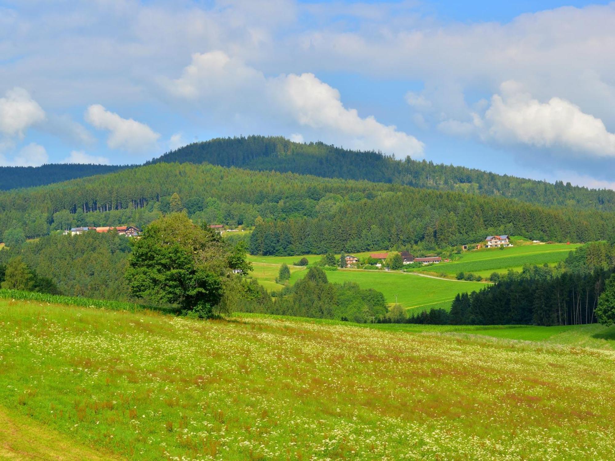 Comfort Apartment With Balcony In The Beautiful Bavarian Forest Drachselsried Exteriér fotografie