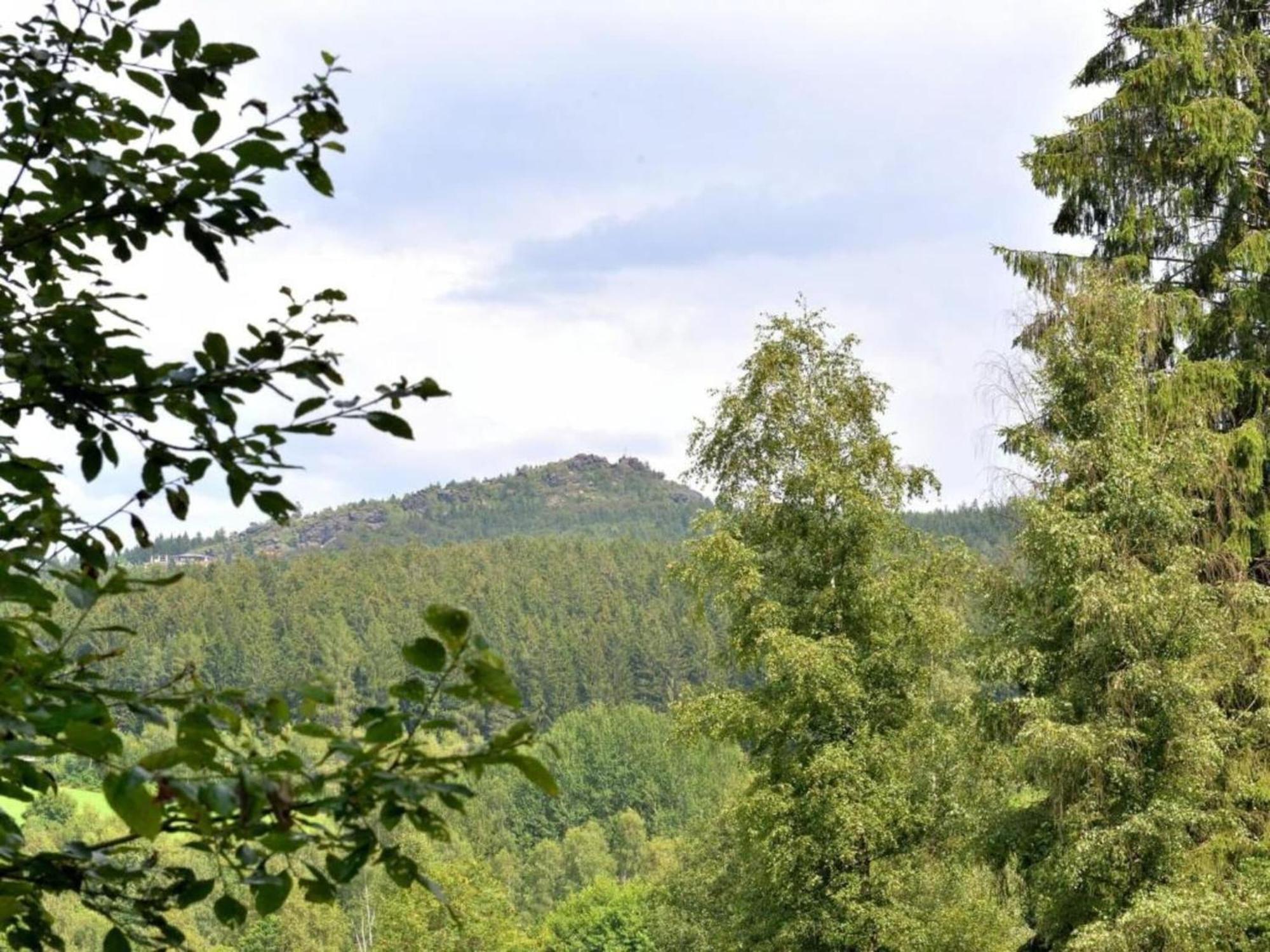 Comfort Apartment With Balcony In The Beautiful Bavarian Forest Drachselsried Exteriér fotografie