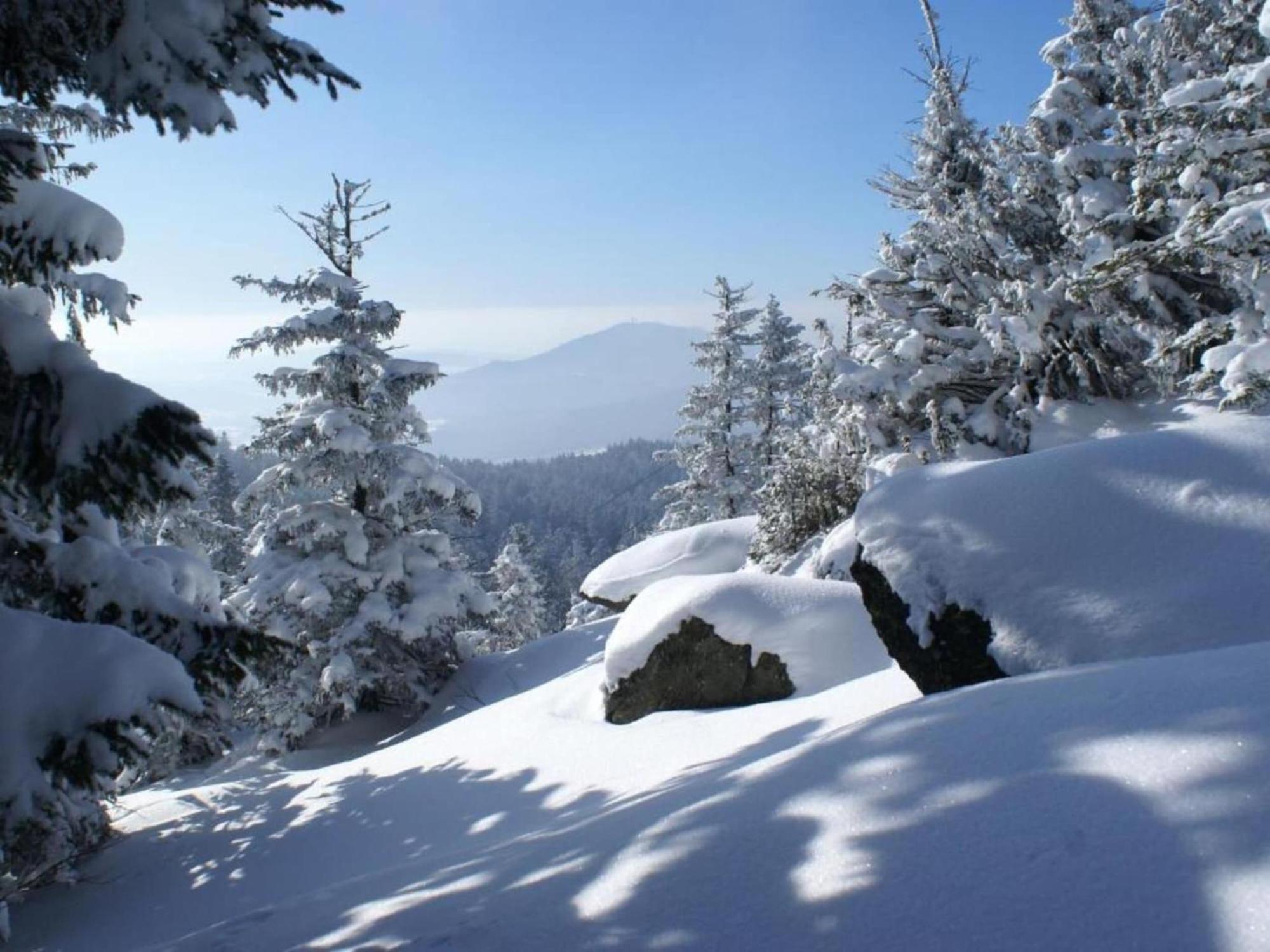 Comfort Apartment With Balcony In The Beautiful Bavarian Forest Drachselsried Exteriér fotografie
